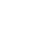 Nordic Noodle